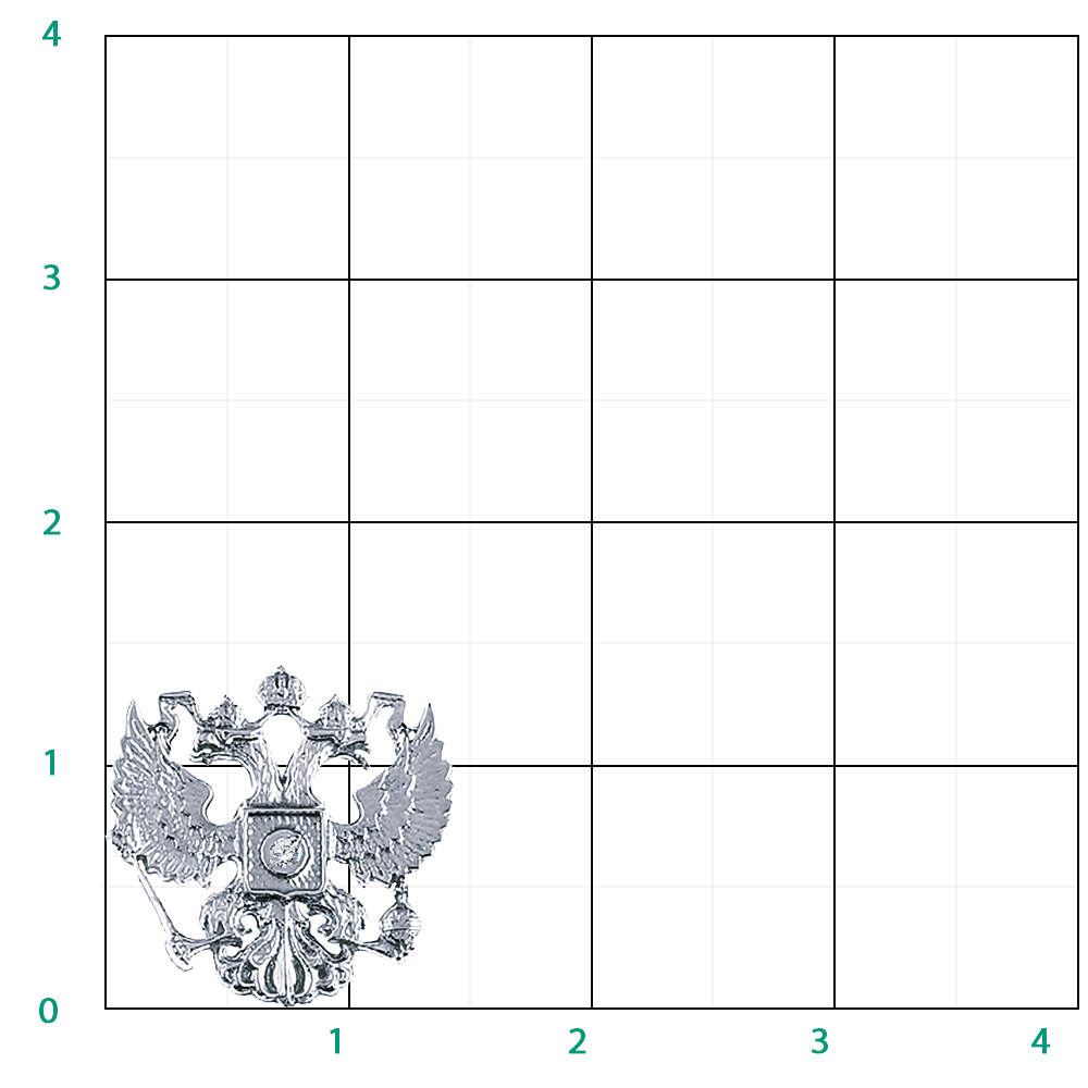 Значок Герб России фото на лацкане пиджака 