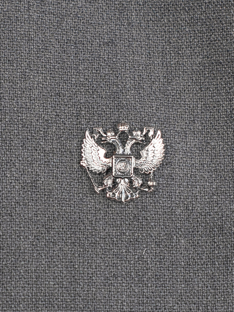 Значок Герб России фото на лацкане пиджака 